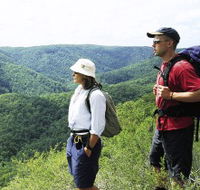 Sunshine Coast Hinterland Great Walk - SA Accommodation