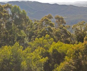 Booroobin QLD SA Accommodation