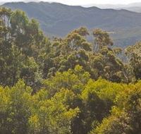 Conondale National Park - SA Accommodation