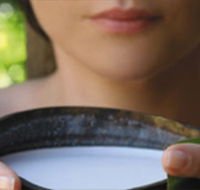 Ikatan Day Spa - SA Accommodation