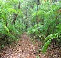 Delicia Road Conservation Park - SA Accommodation