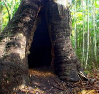 Tewantin National Park - SA Accommodation