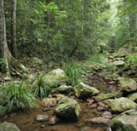 Amamoor State Forest - SA Accommodation
