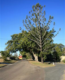 Beerburrum QLD SA Accommodation