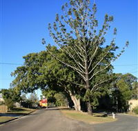 Anzac Avenue Memorial Trees Beerburrum - SA Accommodation