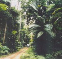 Conondale Great Walk - SA Accommodation