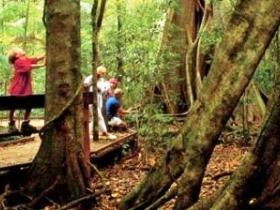Mary Cairncross Scenic Reserve - SA Accommodation 0