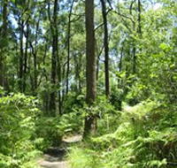 Mapleton Falls National Park - SA Accommodation