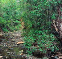 Mudlo National Park - SA Accommodation