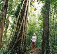 Wet Tropics - SA Accommodation