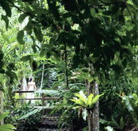 Flecker Botanic Gardens - SA Accommodation