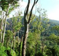 Smiths Track Barron Gorge National Park - SA Accommodation