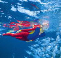 Pixie Pinnacle Dive Site - SA Accommodation