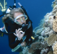 Moore Reef Dive Site - SA Accommodation