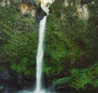 Nandroya Falls Circuit Track Wooroonooran National Park - SA Accommodation