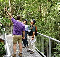Daintree Discovery Centre - SA Accommodation