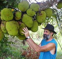 Cape Trib Exotic Fruit Farm - SA Accommodation