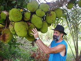 Cape Trib Exotic Fruit Farm - SA Accommodation 0