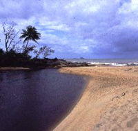 Russell River National Park - SA Accommodation