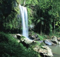 Curtis Falls Joalah Section - SA Accommodation