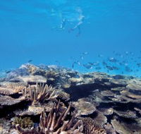Australian Institute of Marine Science - SA Accommodation
