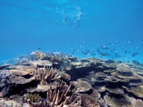 Australian Institute Of Marine Science - SA Accommodation 0