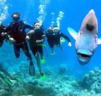 Gotham City Dive Site - SA Accommodation