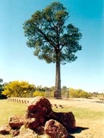Humeburn QLD SA Accommodation