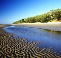 Burrum Coast National Park - SA Accommodation