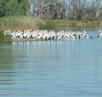 Lake Ross - SA Accommodation