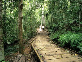 North Johnstone QLD SA Accommodation