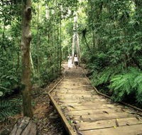 Lake Barrine Circuit Track Crater Lakes National Park - SA Accommodation