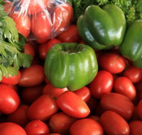 Burleigh Heads Markets - SA Accommodation