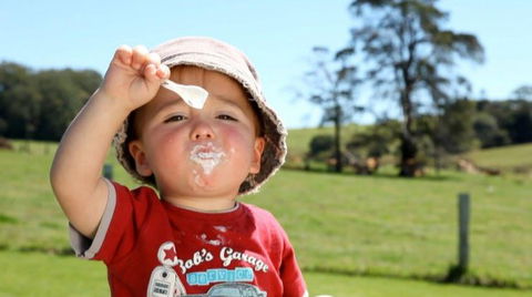 Maleny Dairies - SA Accommodation 5
