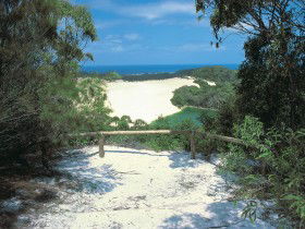 Lake Wabby Track - SA Accommodation 0