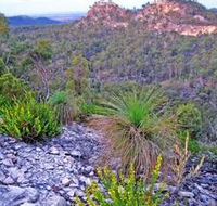 Isla Gorge National Park - SA Accommodation
