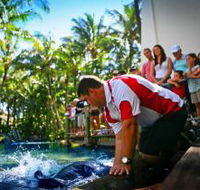 The Living Reef on Daydream Island - SA Accommodation