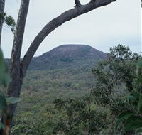 Mount Fox - SA Accommodation