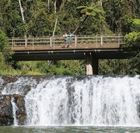 Malanda Falls Conservation Park - SA Accommodation