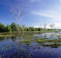 Tyto Wetlands - SA Accommodation