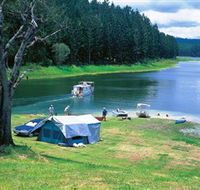 Danbulla National Park and Danbulla State Forest - SA Accommodation