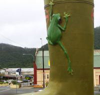 Golden Gumboot - SA Accommodation