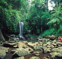 Tamborine National Park - SA Accommodation