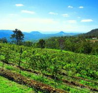 Preston Peak Wines - SA Accommodation