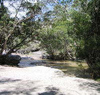 Davies Creek National Park and Dinden National Park - SA Accommodation