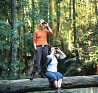 Birdwatching on the Fraser Coast - SA Accommodation