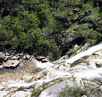 Dinden National Park - SA Accommodation