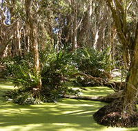 Arkarra Lagoons and Tea Gardens - SA Accommodation
