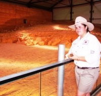 Dinosaurs and Opals Four Wheel Drive Track - SA Accommodation