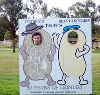 Kingaroy Lions Park - SA Accommodation